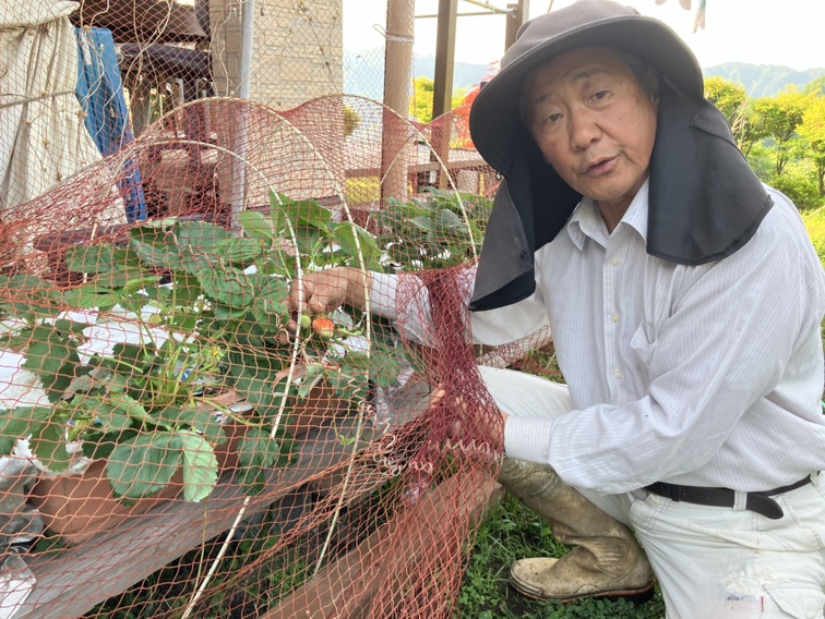 岡本 善孝
